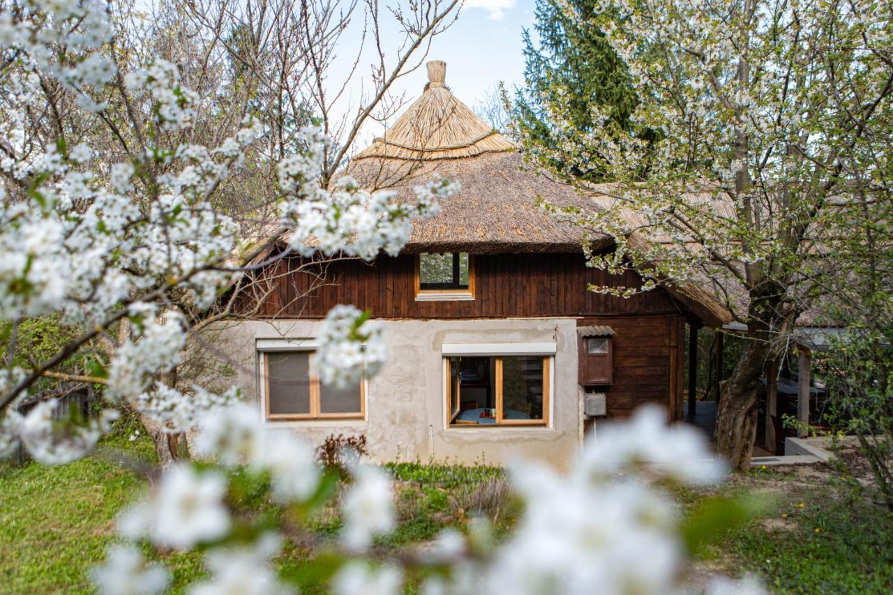 Rustic&Green Guesthouse For 6 People Free Airconditioner Free Coffee Balatonkenese Exterior foto